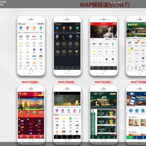 多模版切换NG游戏接口厂商多版前端NET版本综合盘系统源码