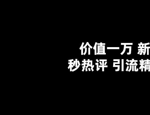 价值一万 新浪秒热评协议 引流精准粉揭秘